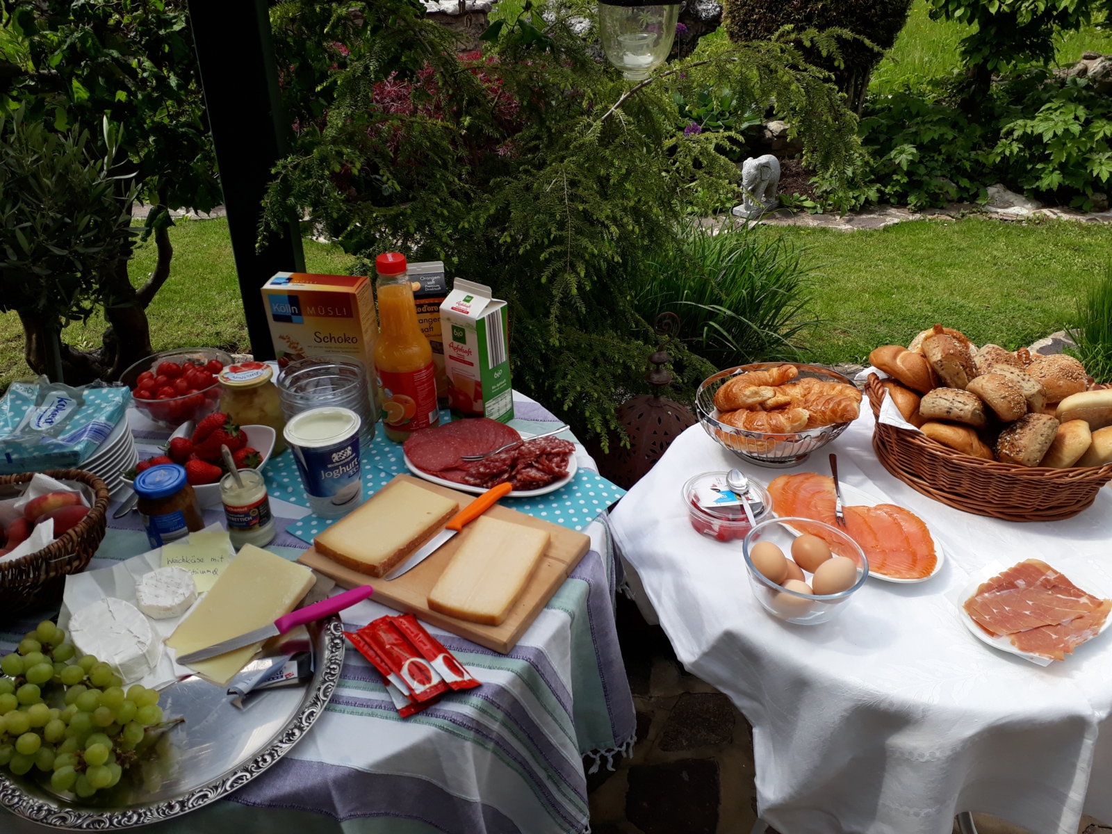 20170525_111412.jpg