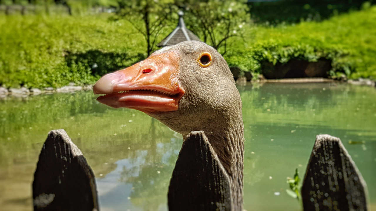 20170527_140337.jpg