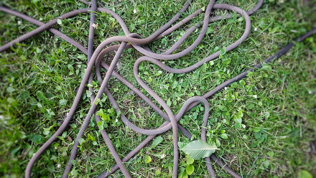 20170610_203905.jpg