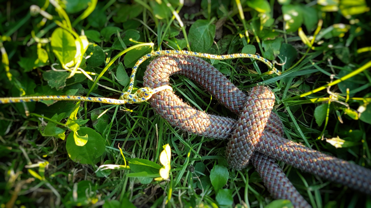 20170610_204048.jpg