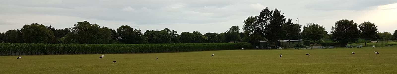 20170702_202540.jpg