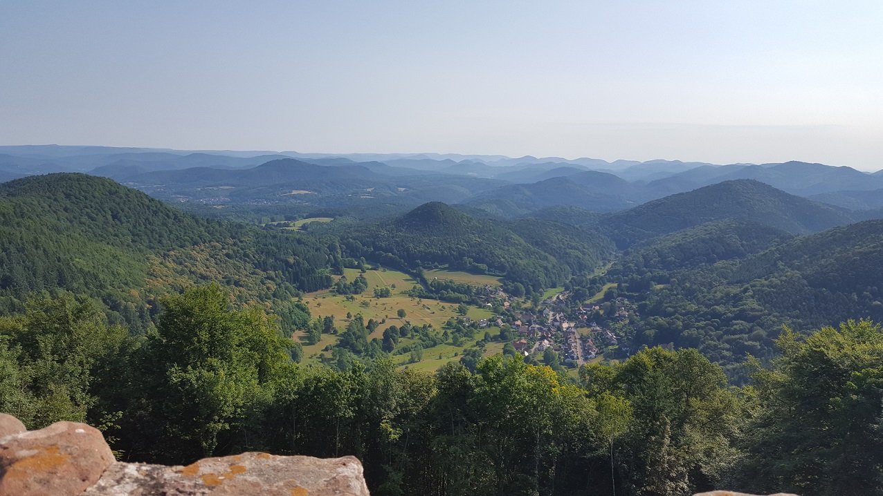 20170708_091103.jpg