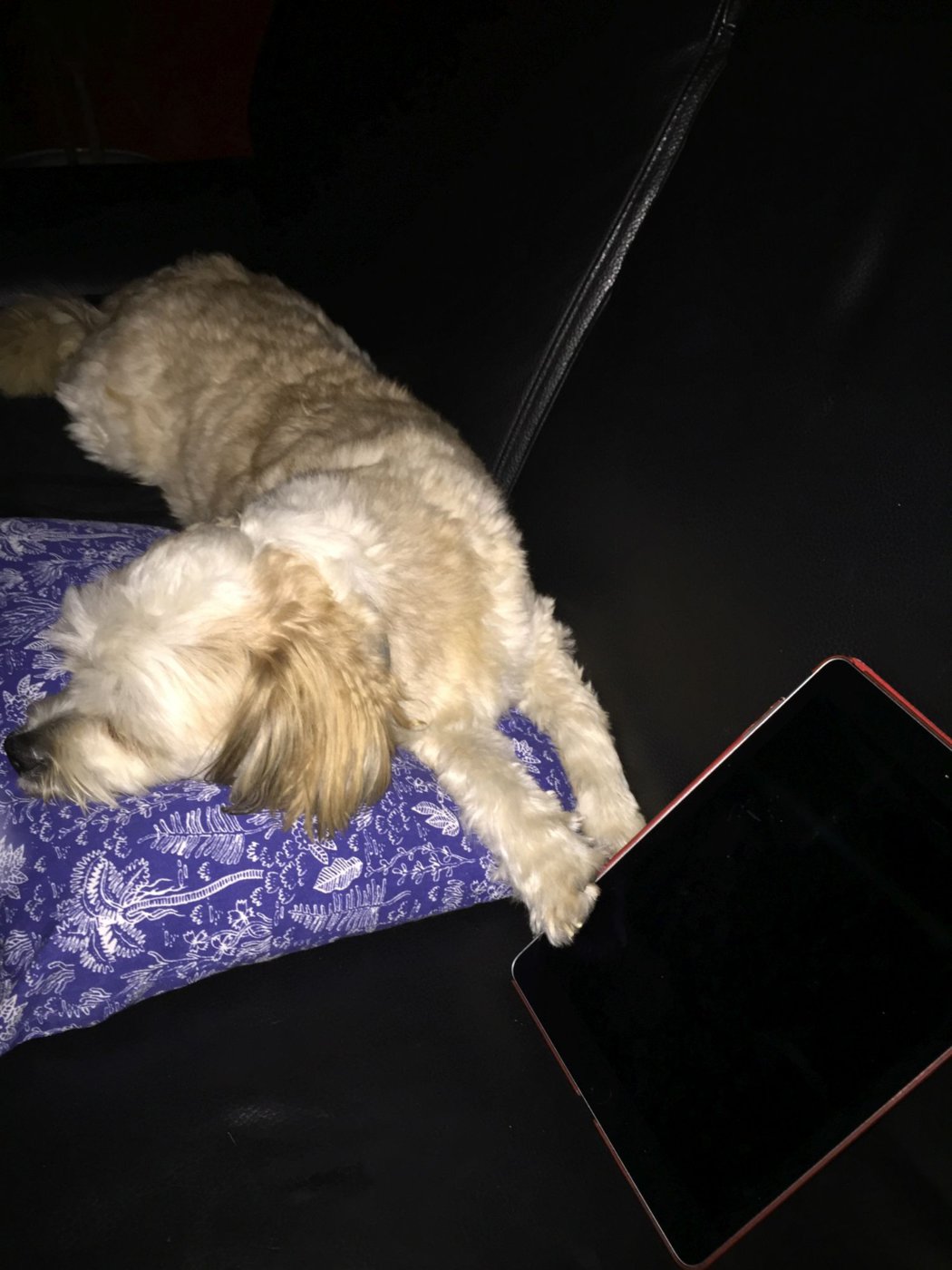 20170719_004404535_iOS.jpg