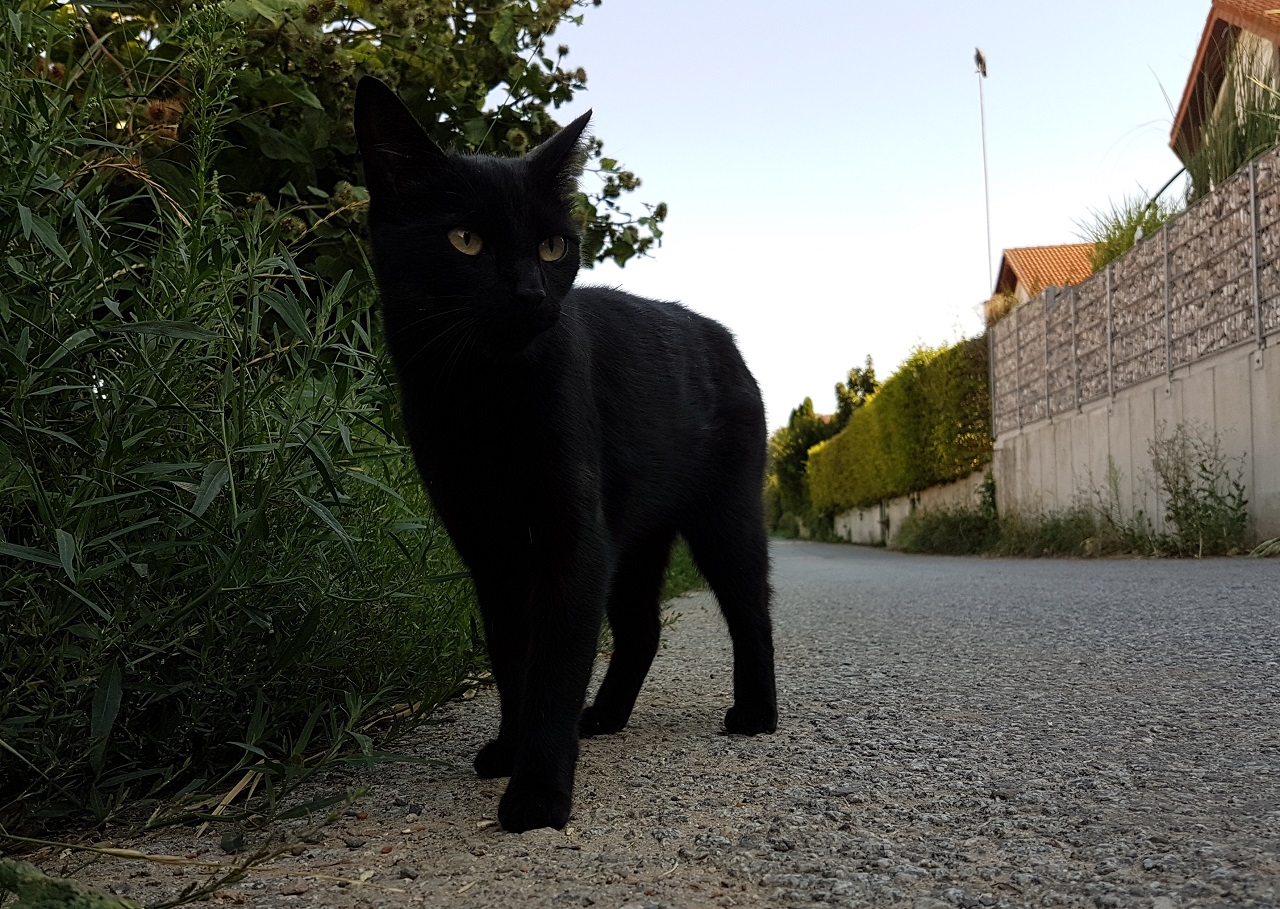 20170719_090438.jpg