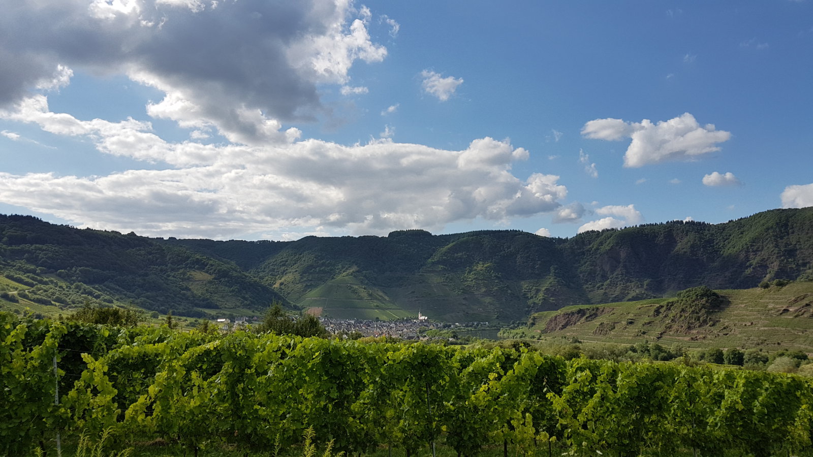 20170720_173058.jpg