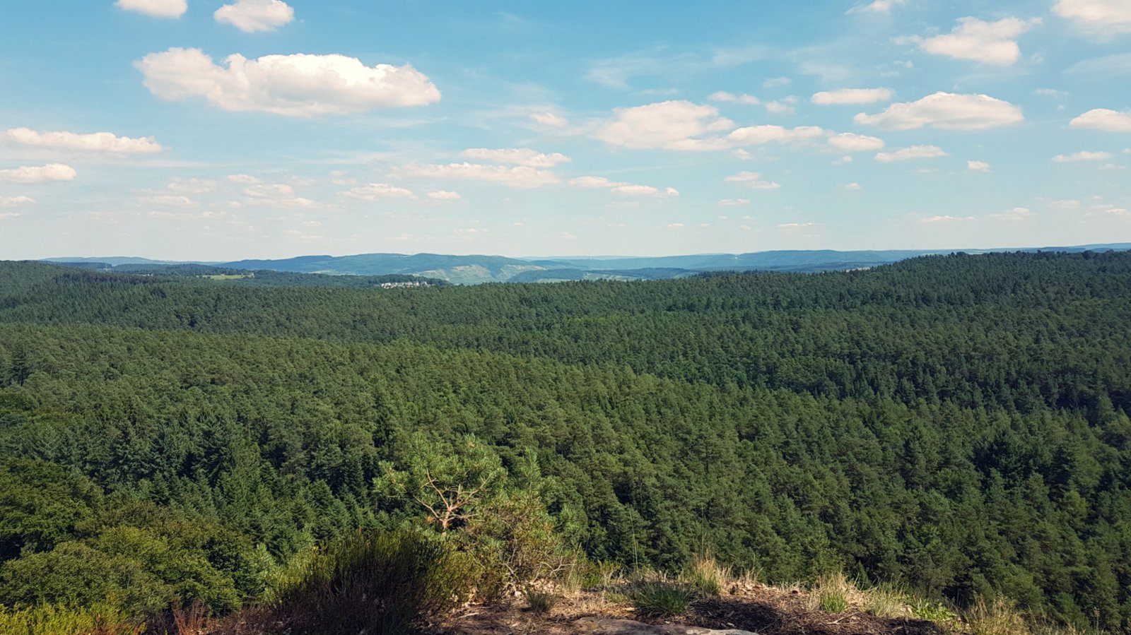 20170807_144237_Sanna.jpg
