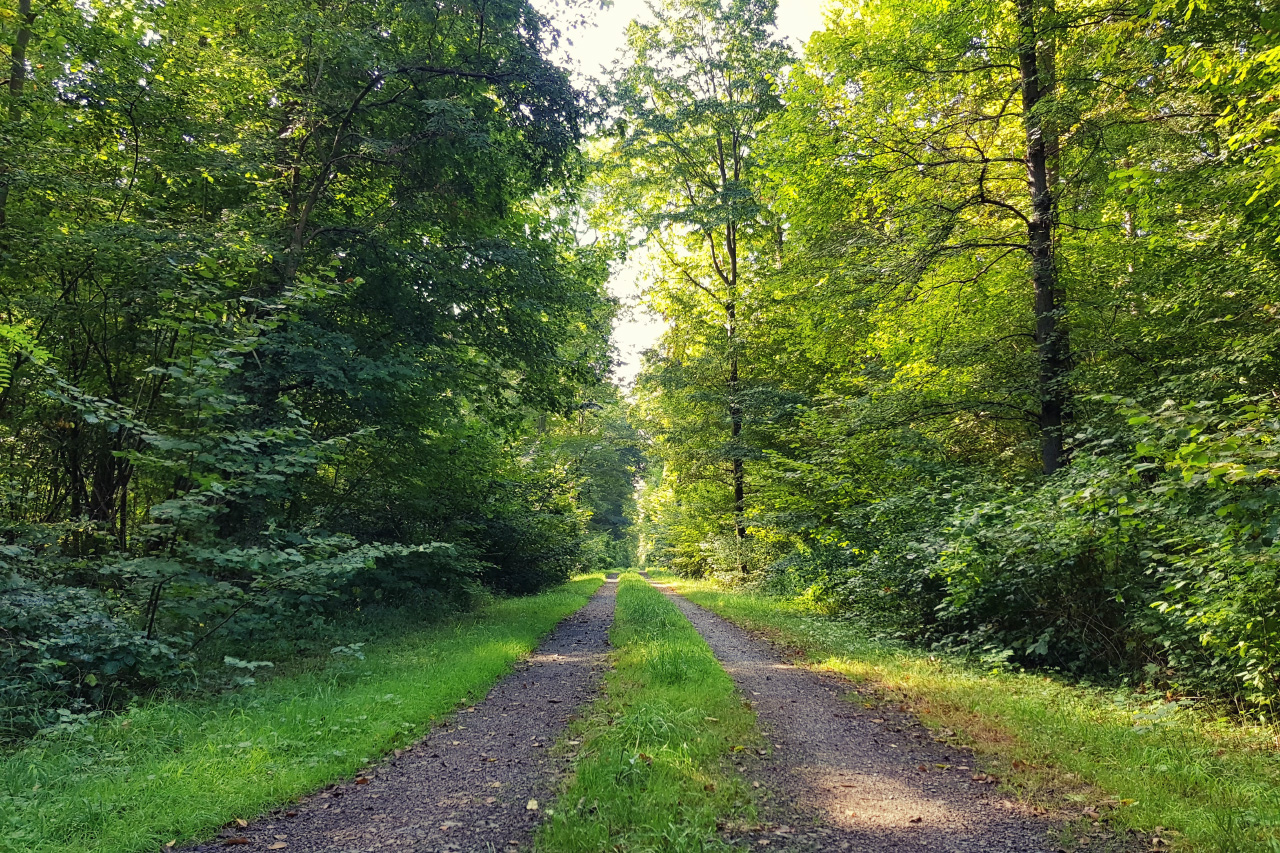 20170905_105805.jpg