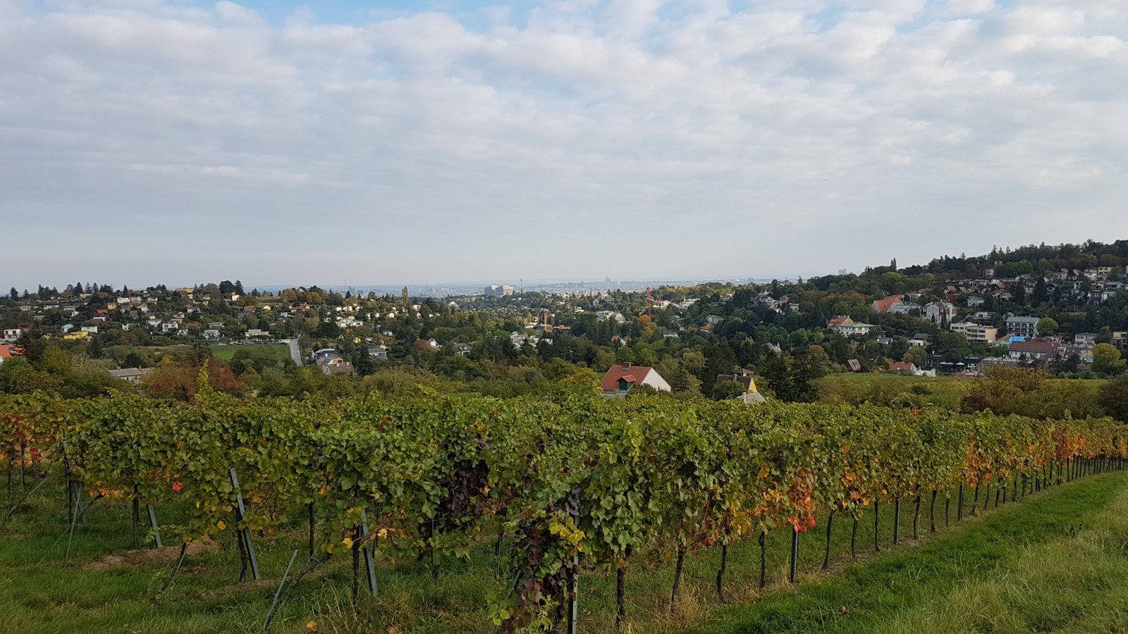 20171001_164913.jpg