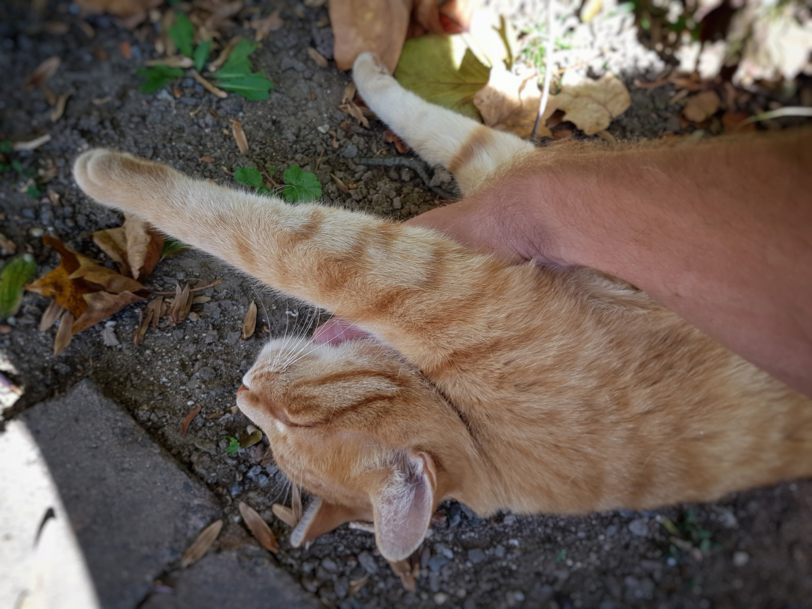 20171019_141628.jpg