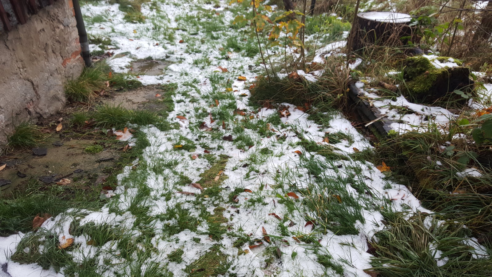 20171030_081618.jpg