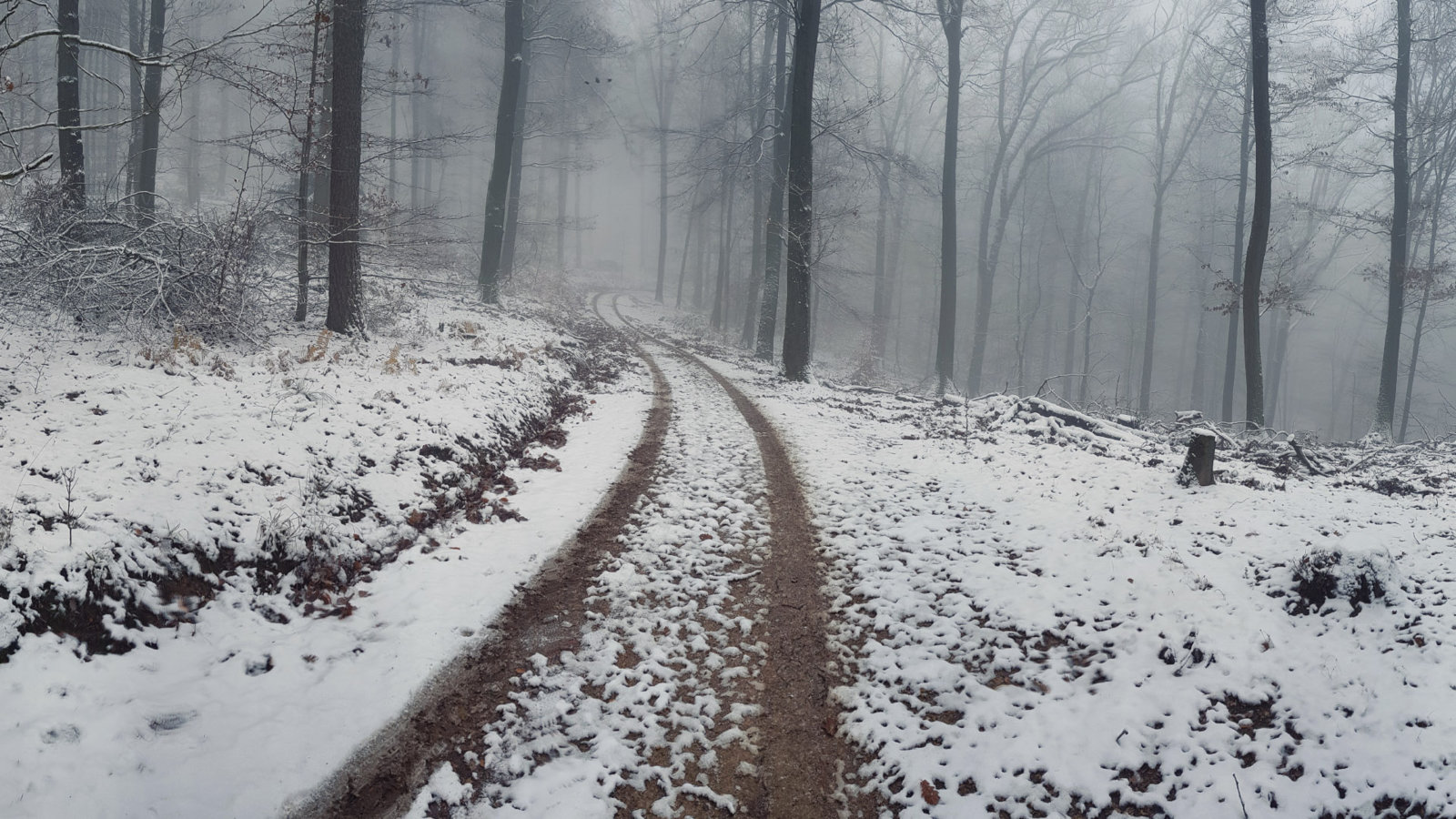 20171202_141107.jpg