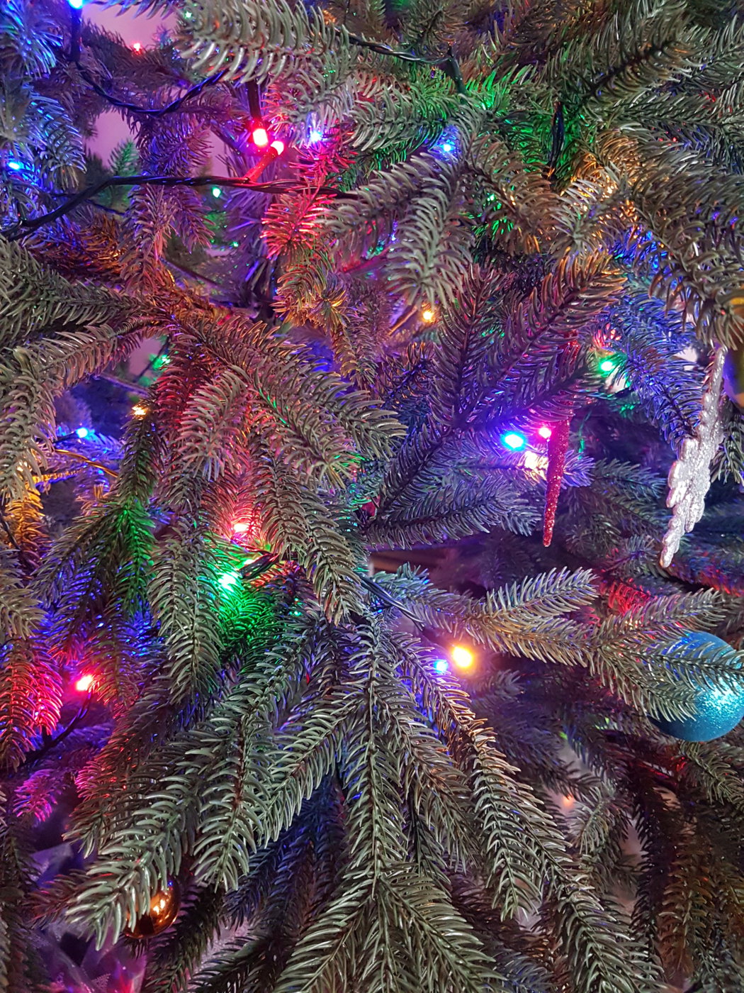 20171226_142325.jpg
