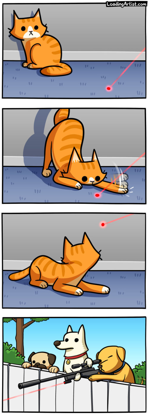 2018-07-05-cats-and-dots.jpg