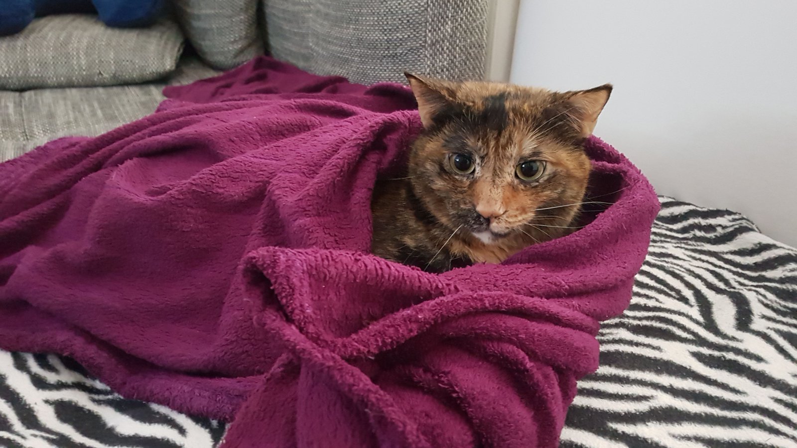 20180304_184945.jpg