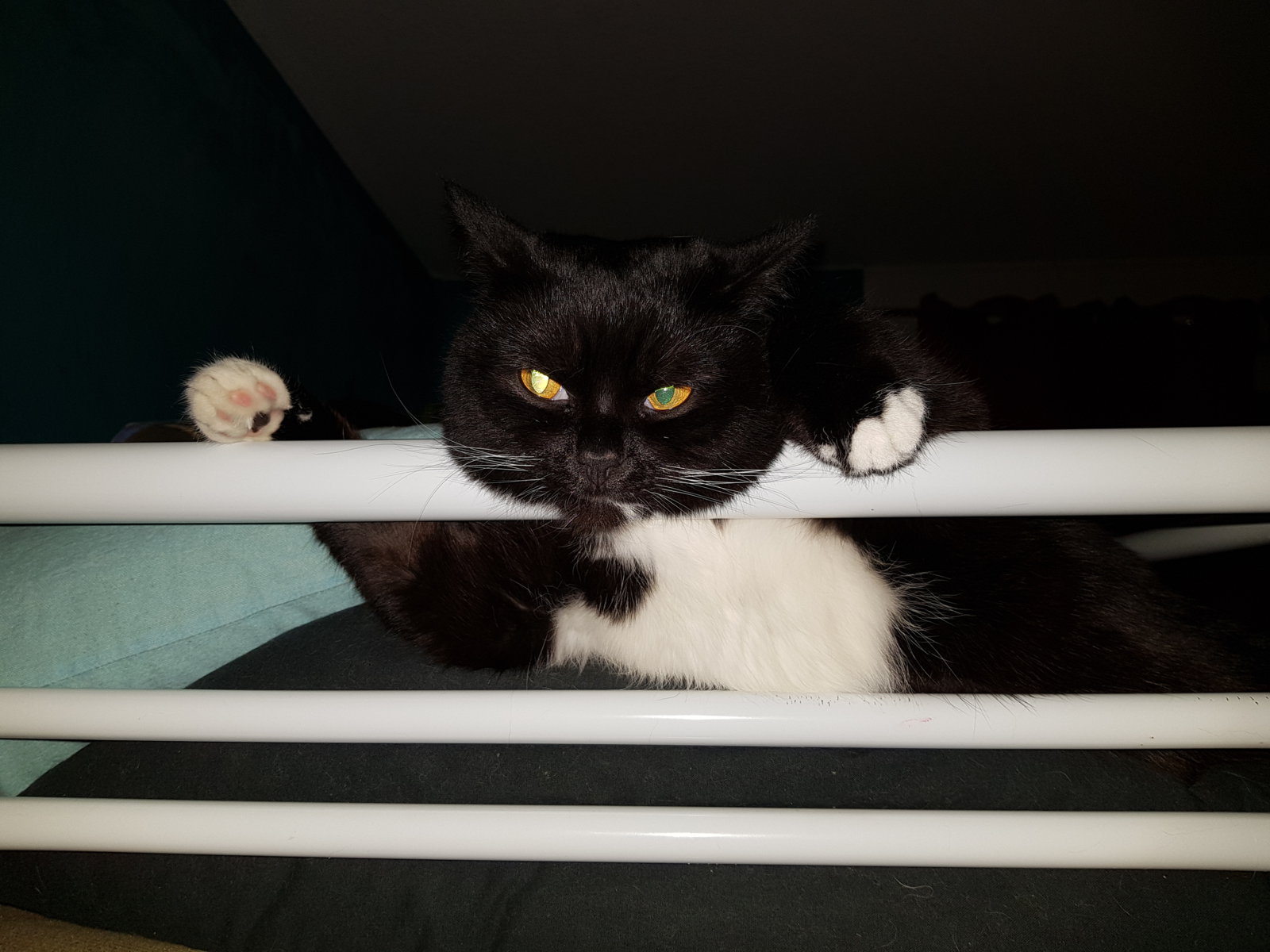 20180305_194718.jpg