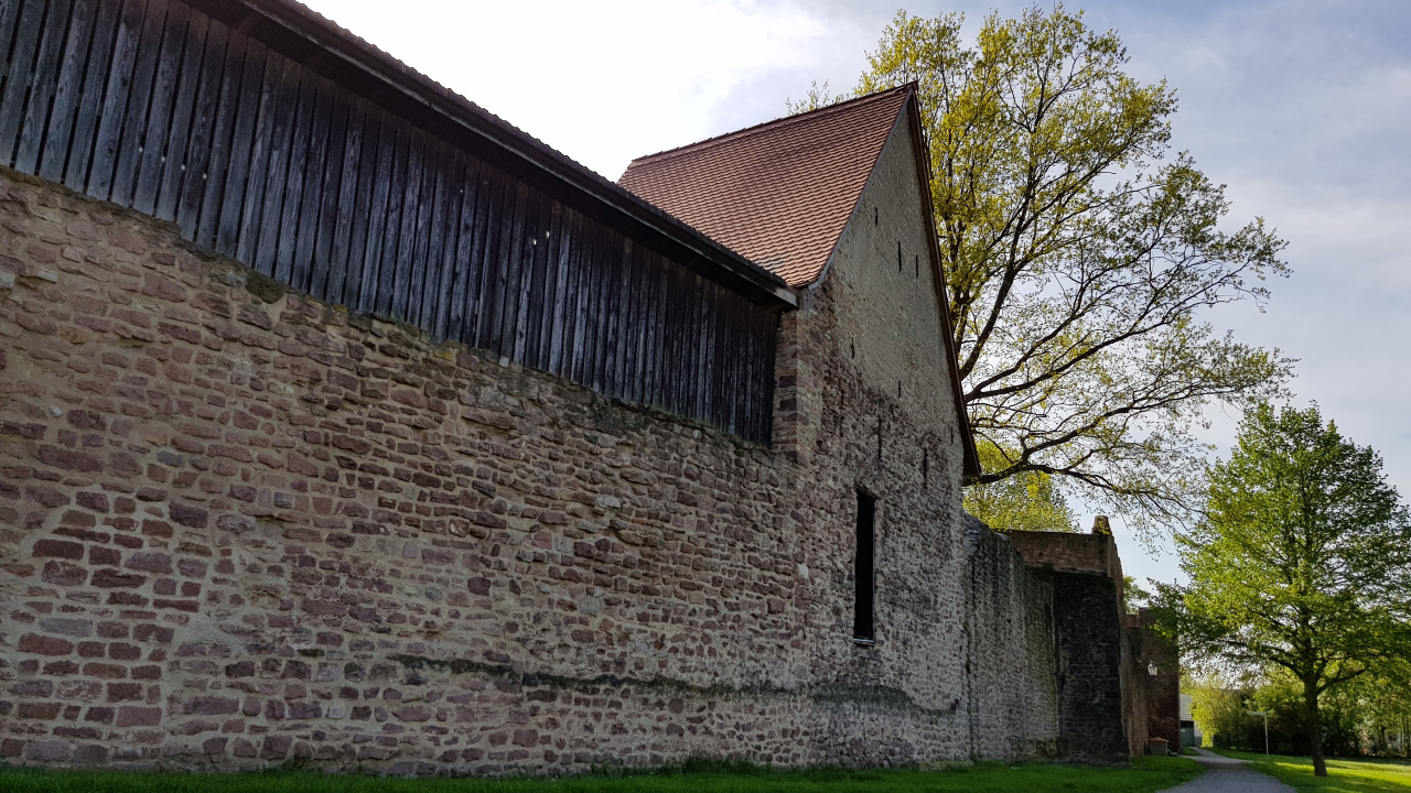 20180417_164631.jpg