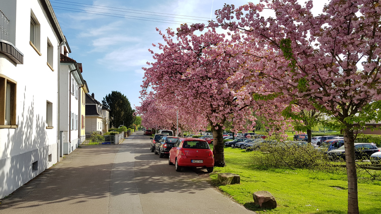 20180417_170443.jpg