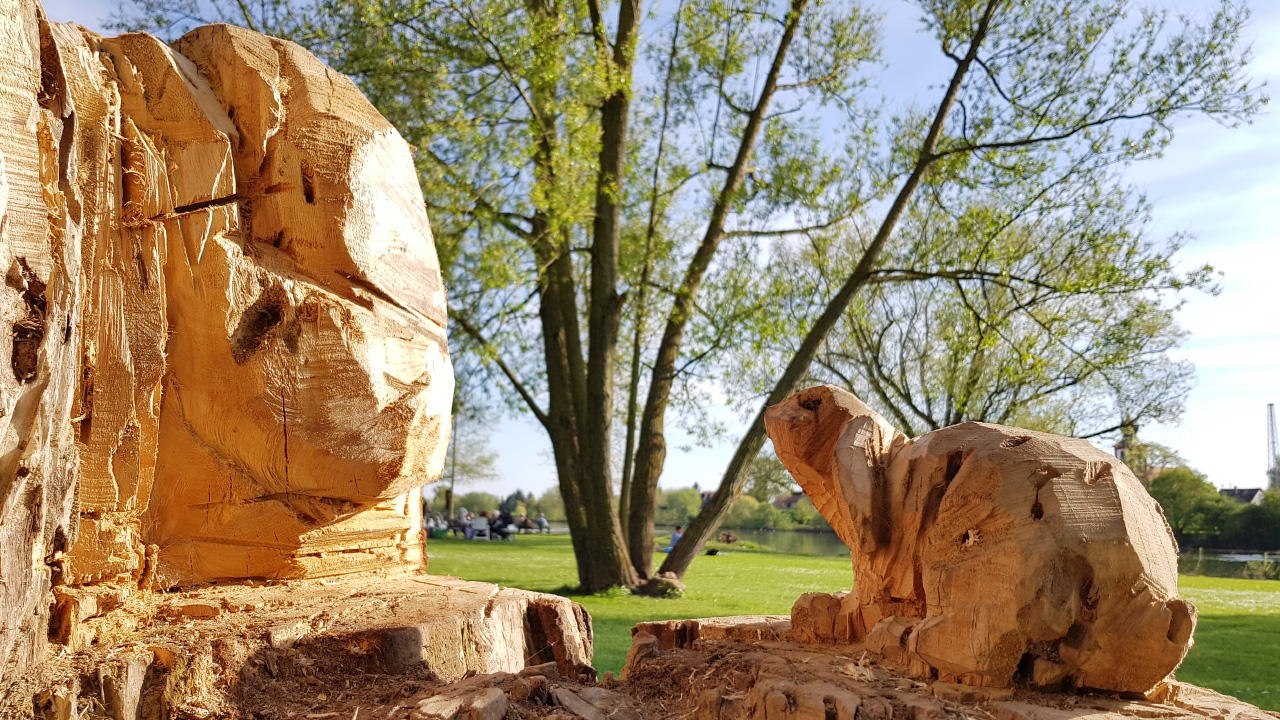 20180417_173042.jpg