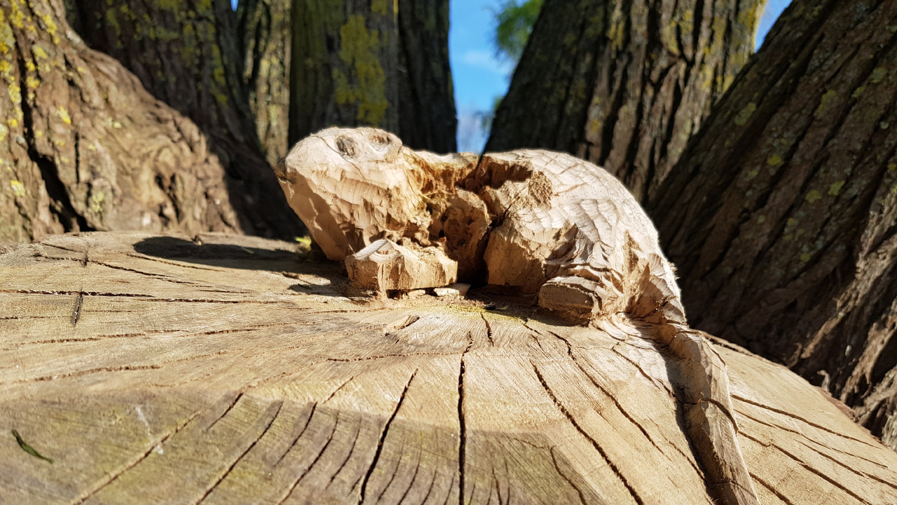 20180417_173144.jpg