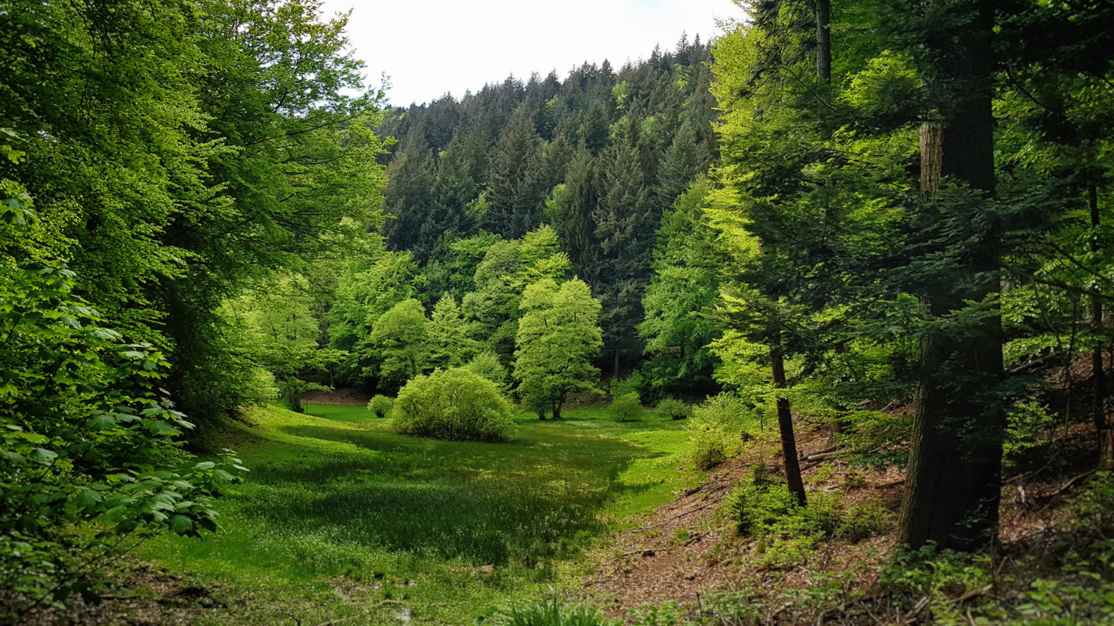 20180501_145715.jpg
