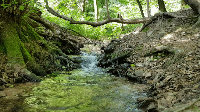 20180501_163347_1.gif