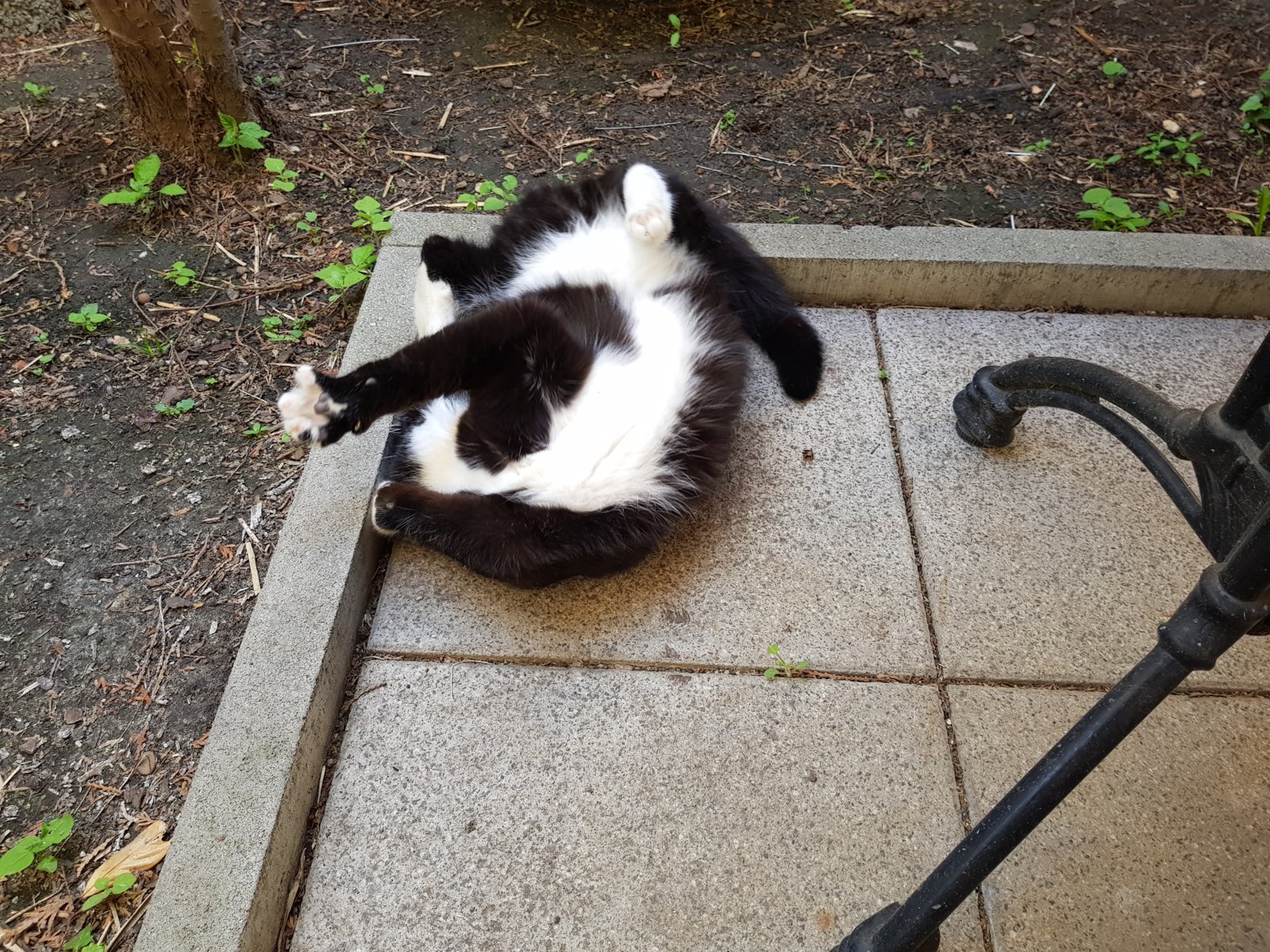 20180515_183316.jpg
