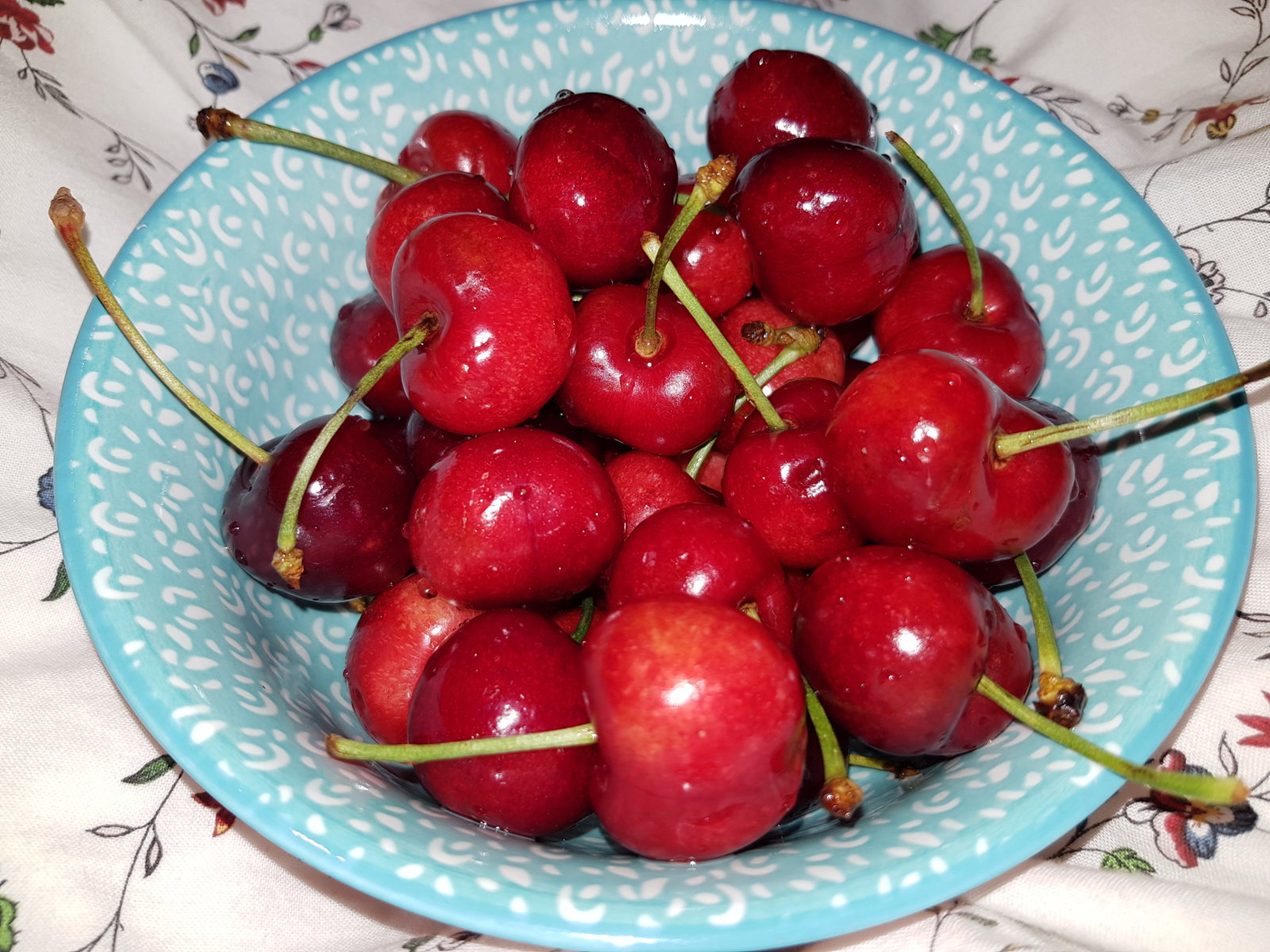 20180518_215910.jpg