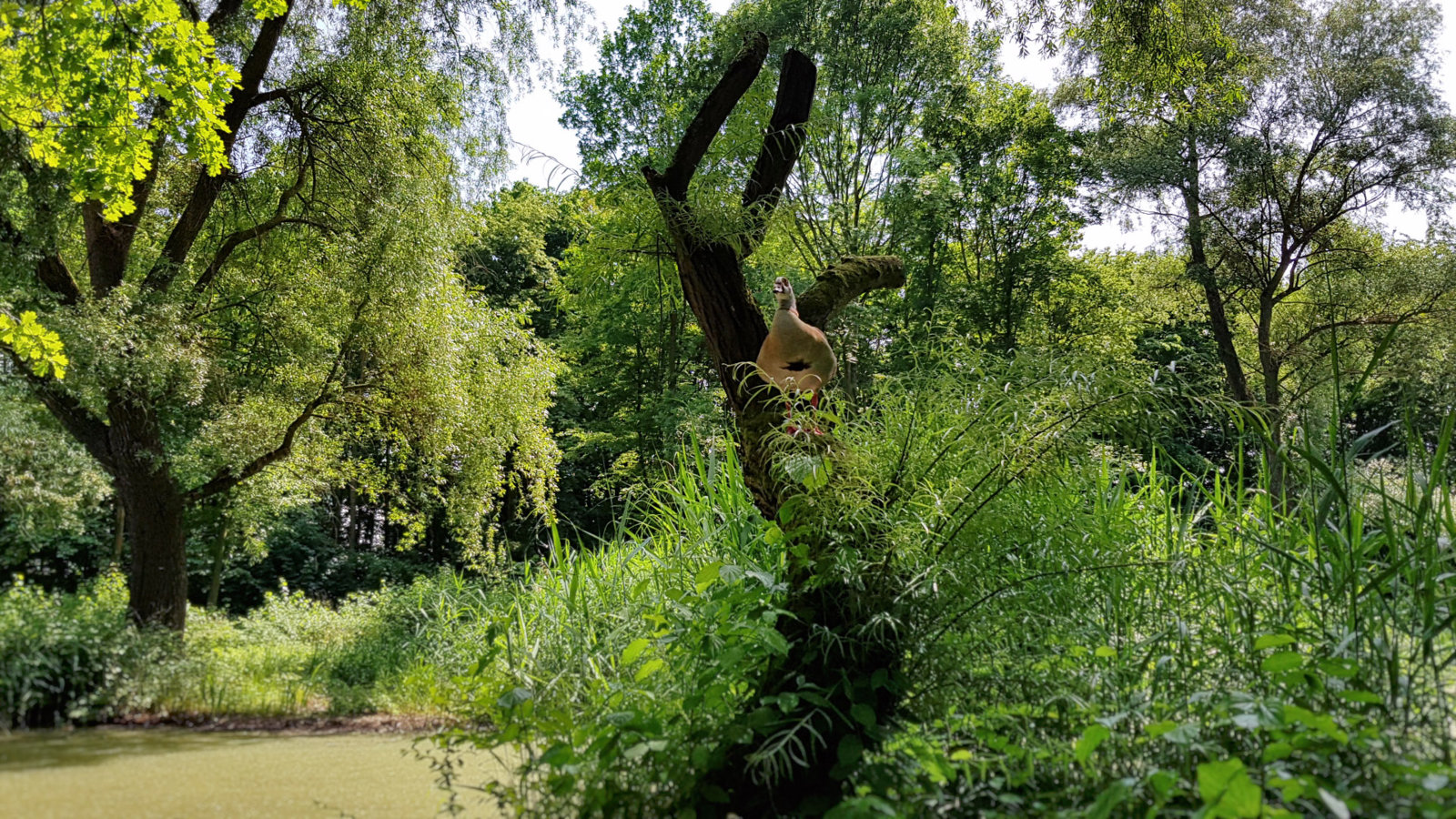 20180528_150315.jpg