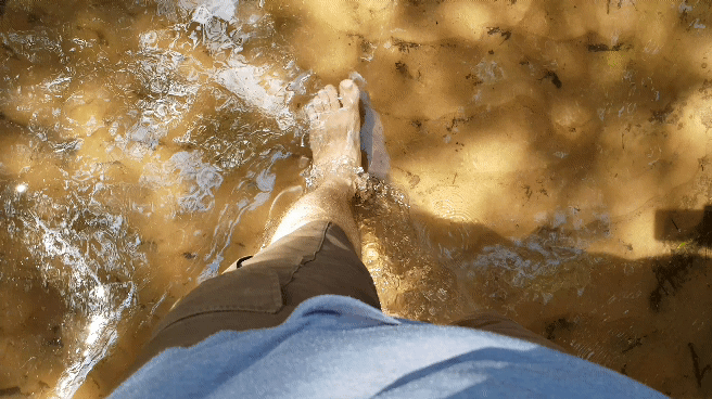 20180531_133458_1.gif