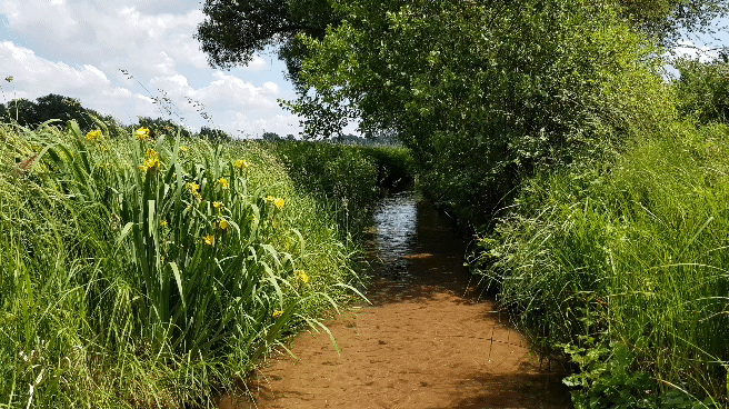 20180531_133633_1.gif