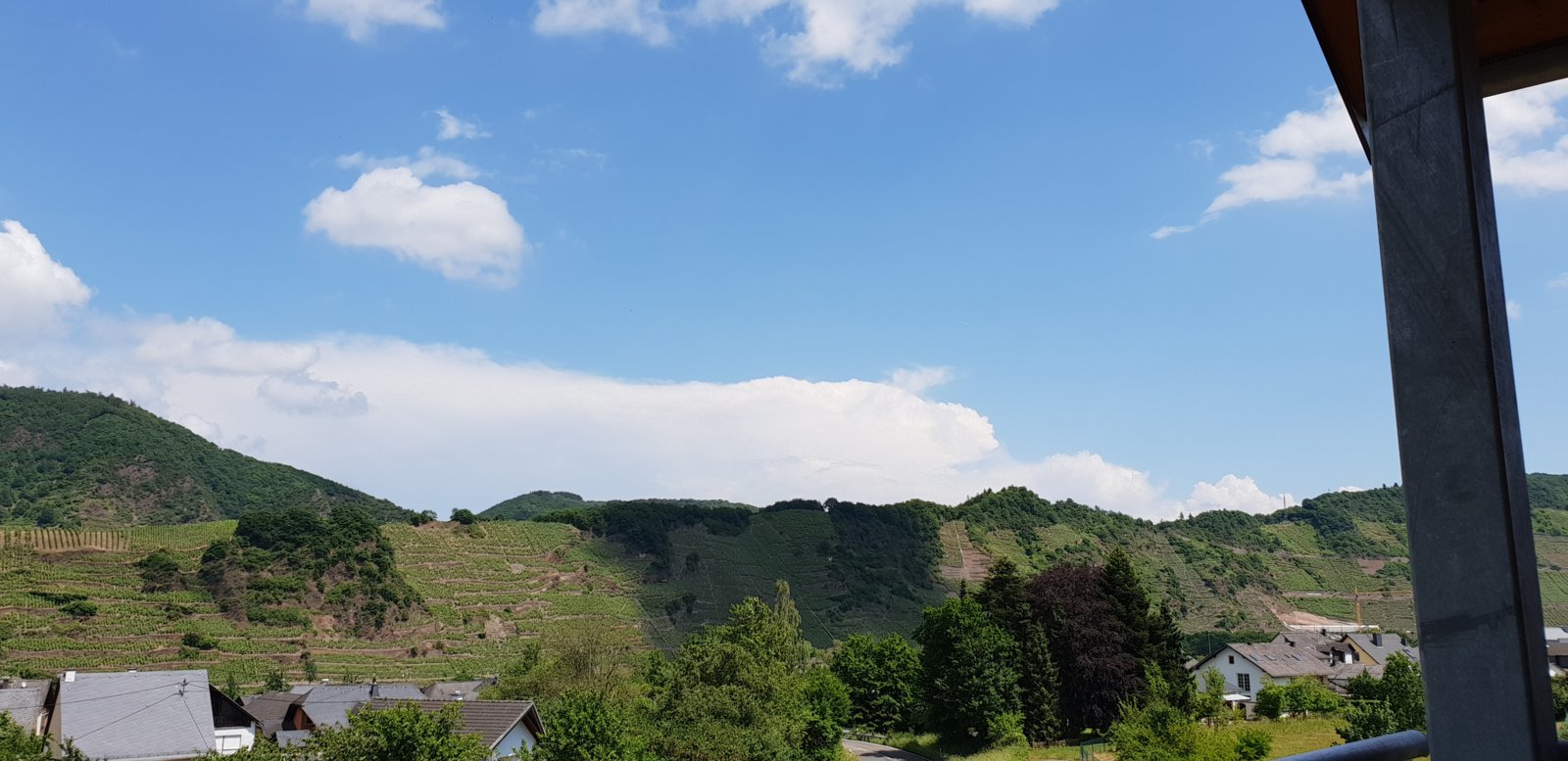 20180531_134602.jpg