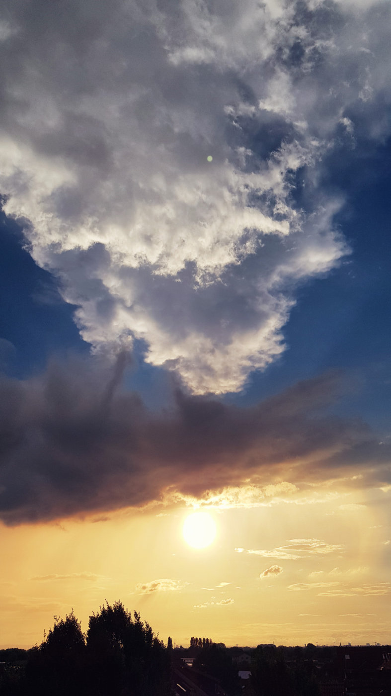 20180601_200512.jpg