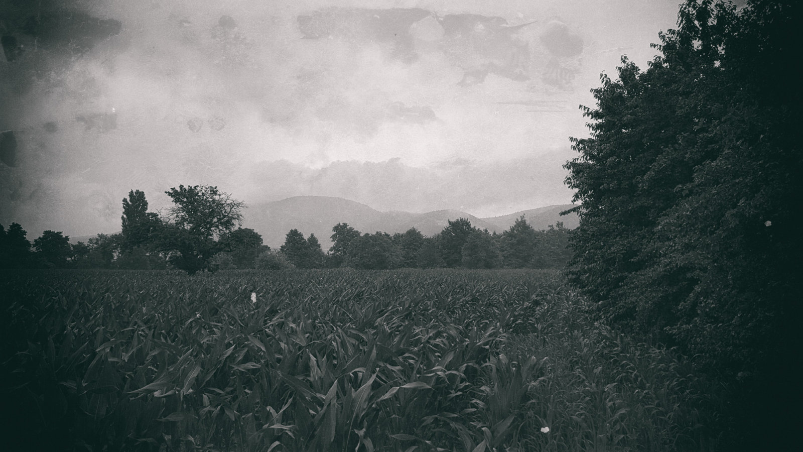 20180611_191439.jpg