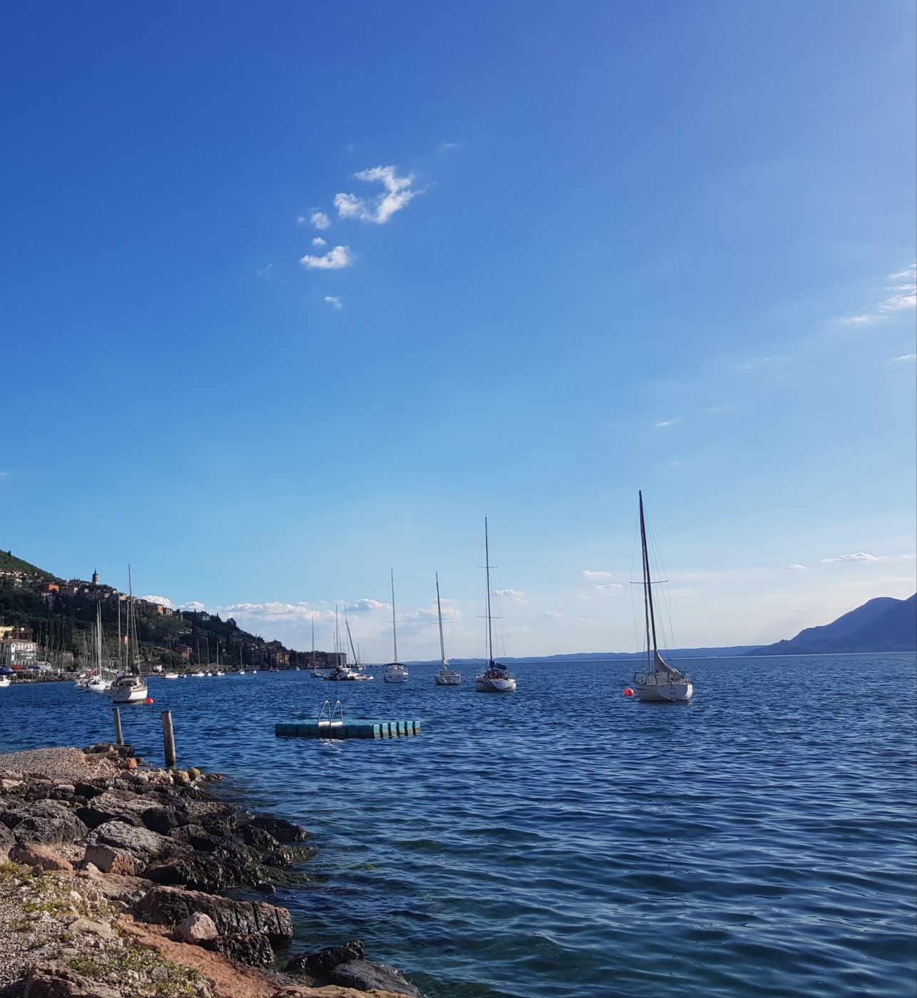 20180614_185012.jpg