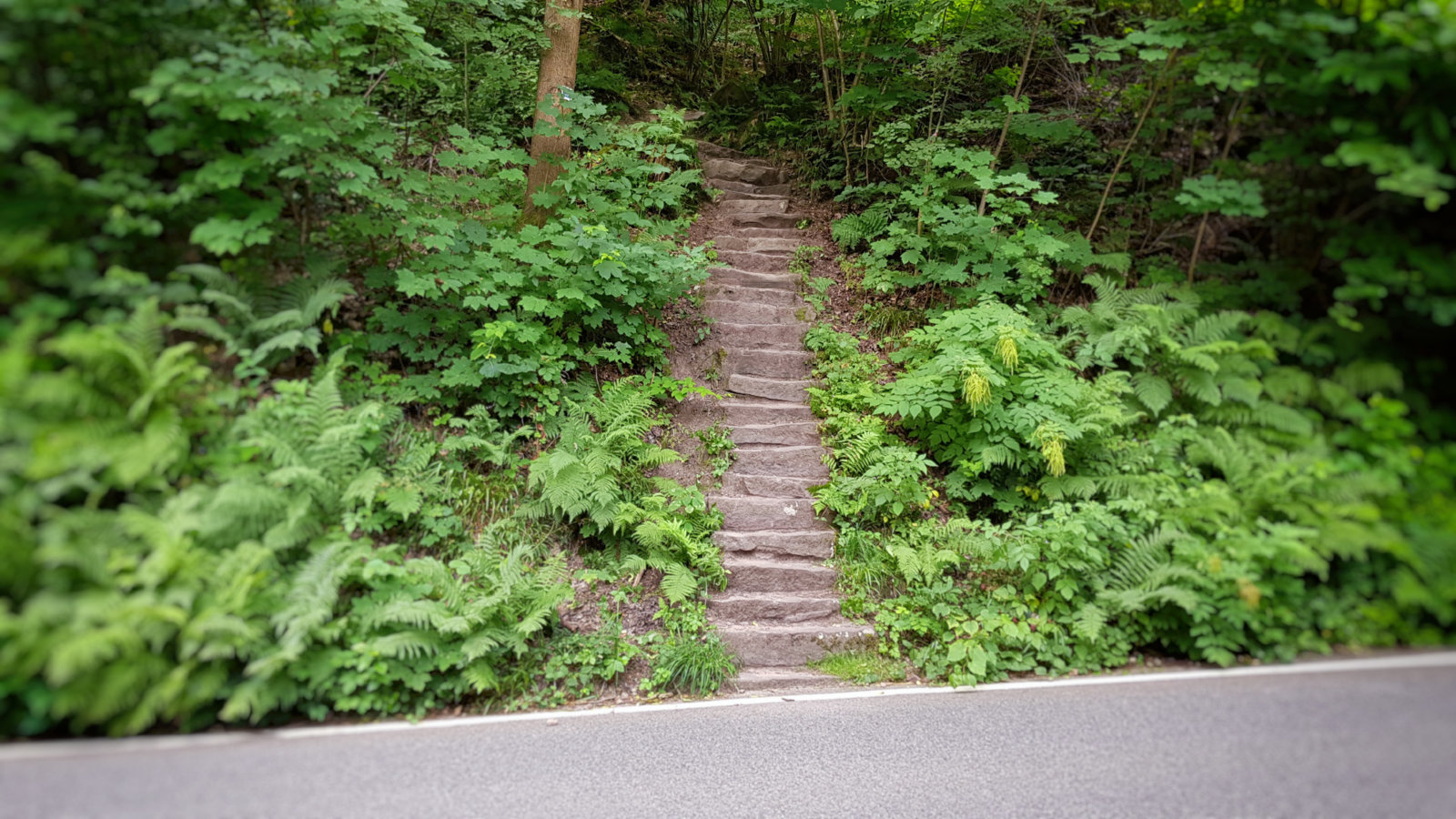 20180624_102932.jpg