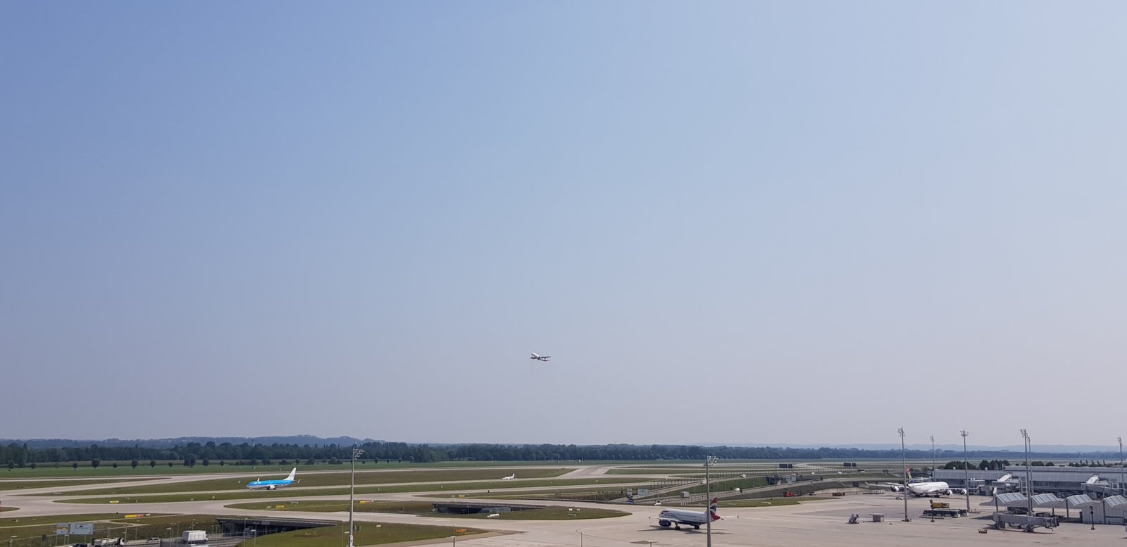 20180802_105032.jpg
