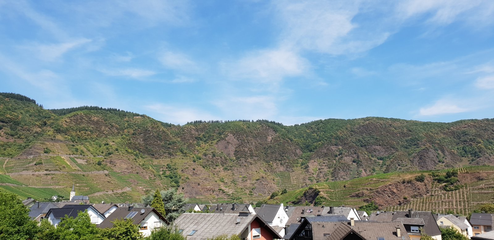 20180805_123309.jpg