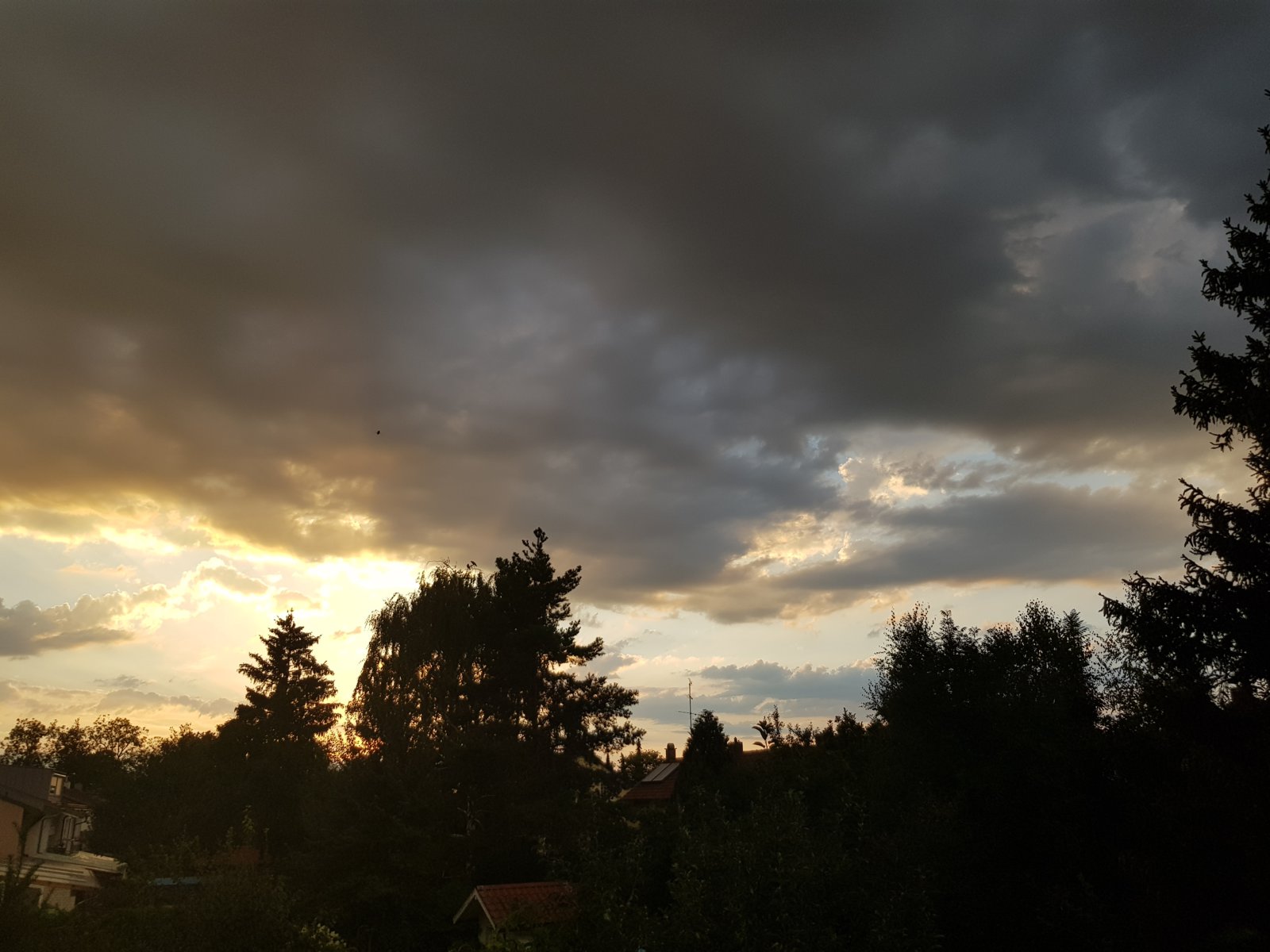 20180809_201803.jpg