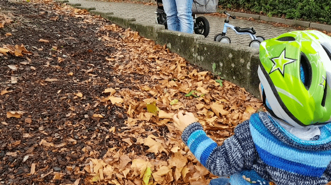 20180923_111754_1.gif