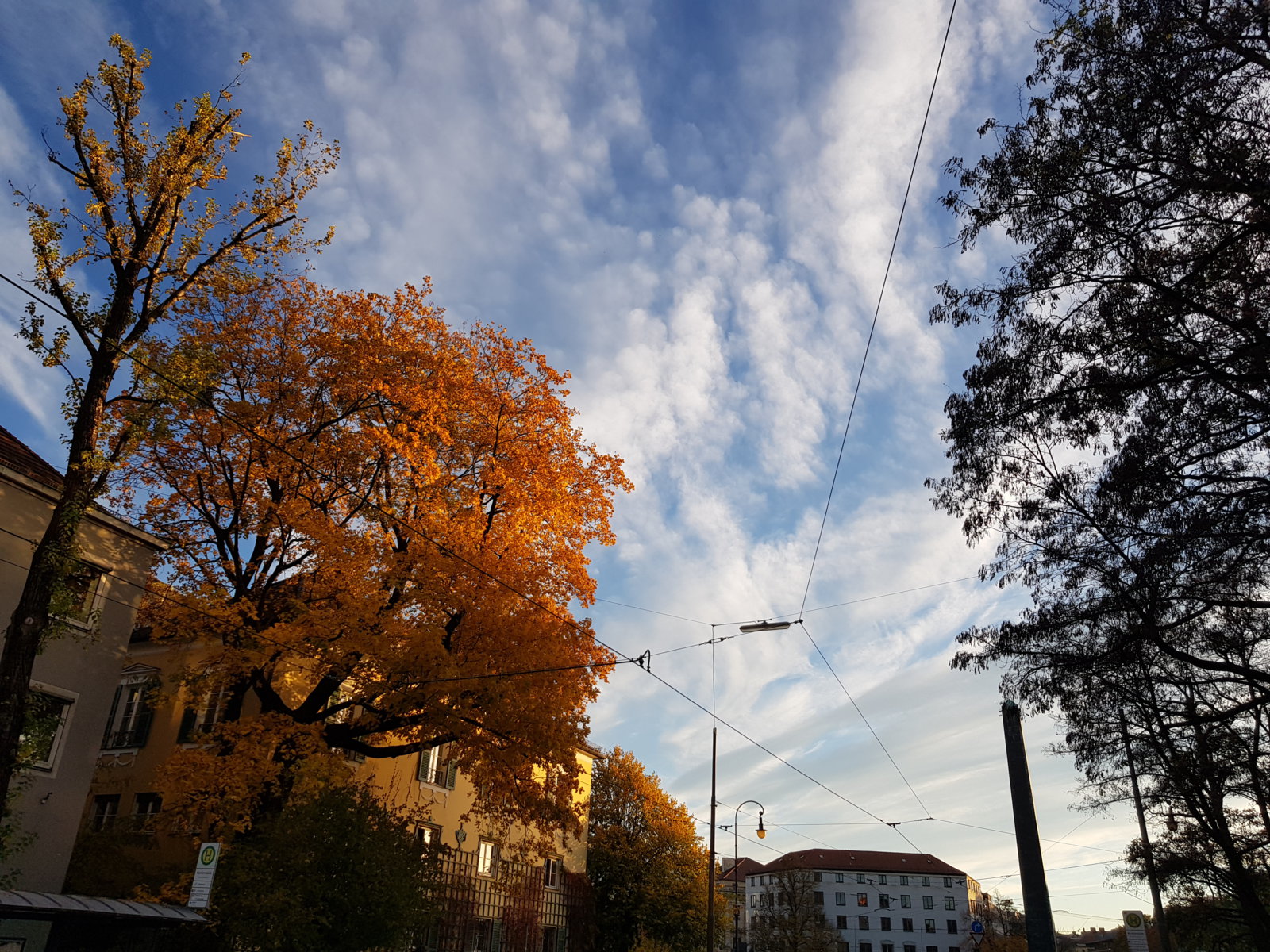 20181105_161459.jpg