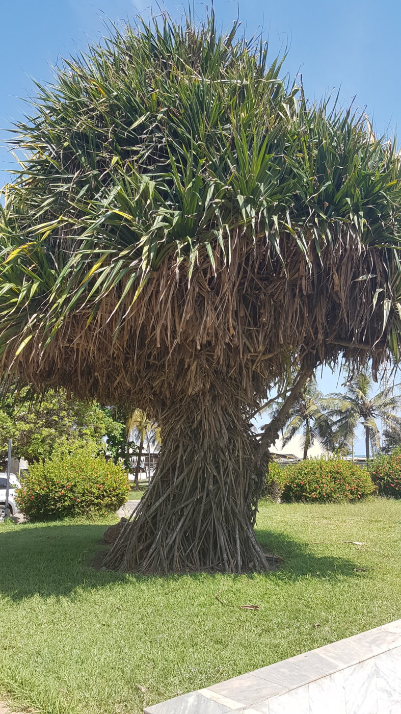20181109_133405.jpg