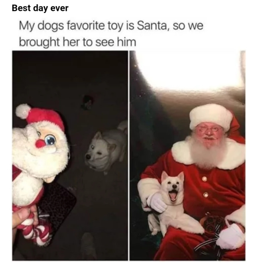 20181201_103455.jpg