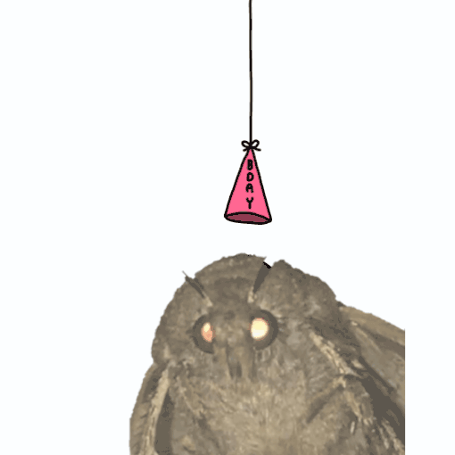 20181204_093544.gif
