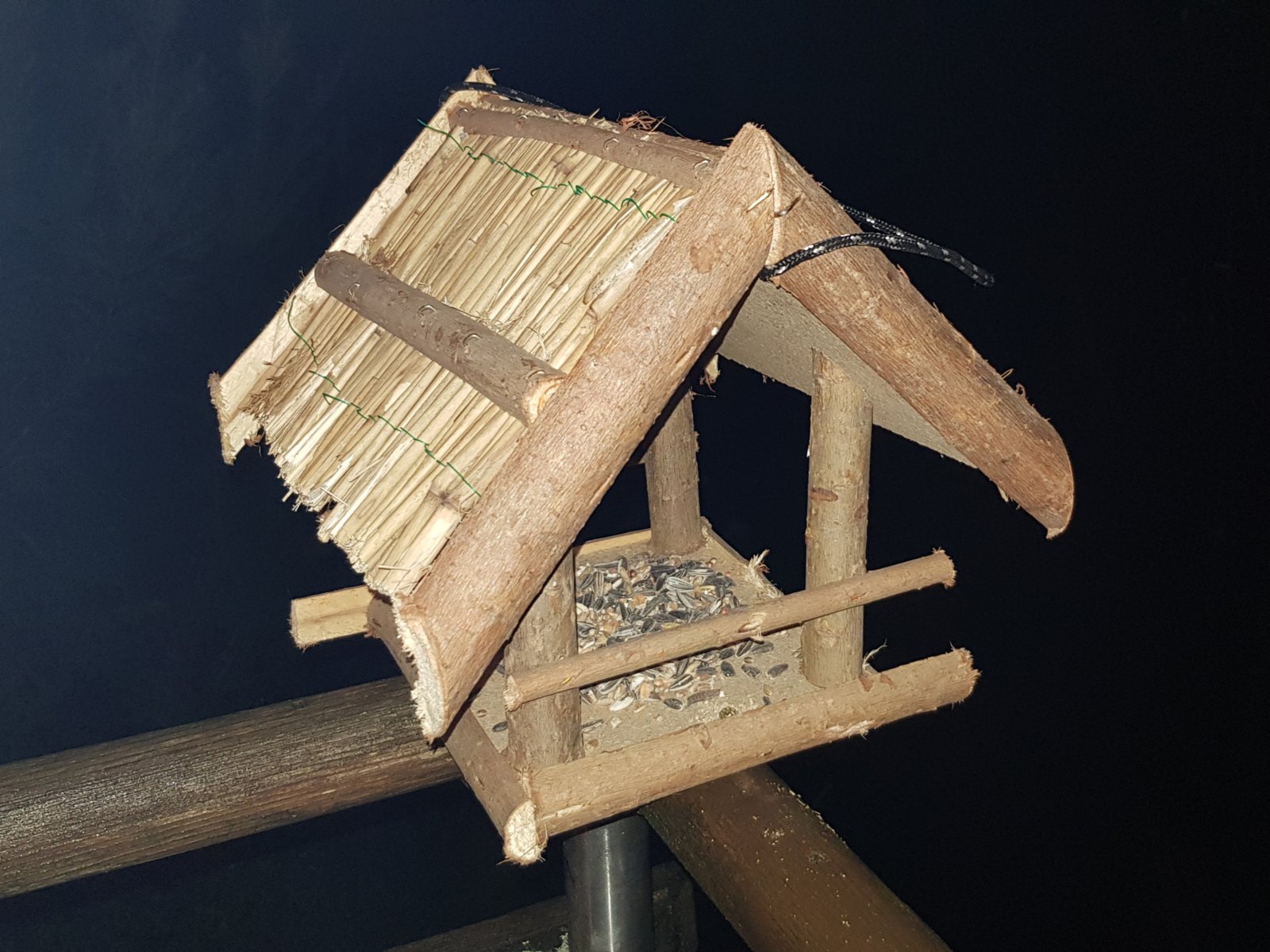 20181210_181455.jpg