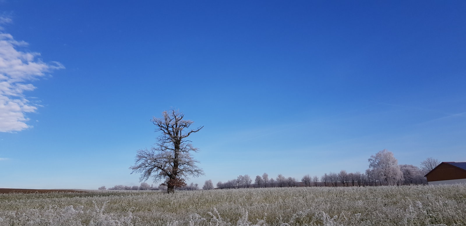 20181227_114227.jpg