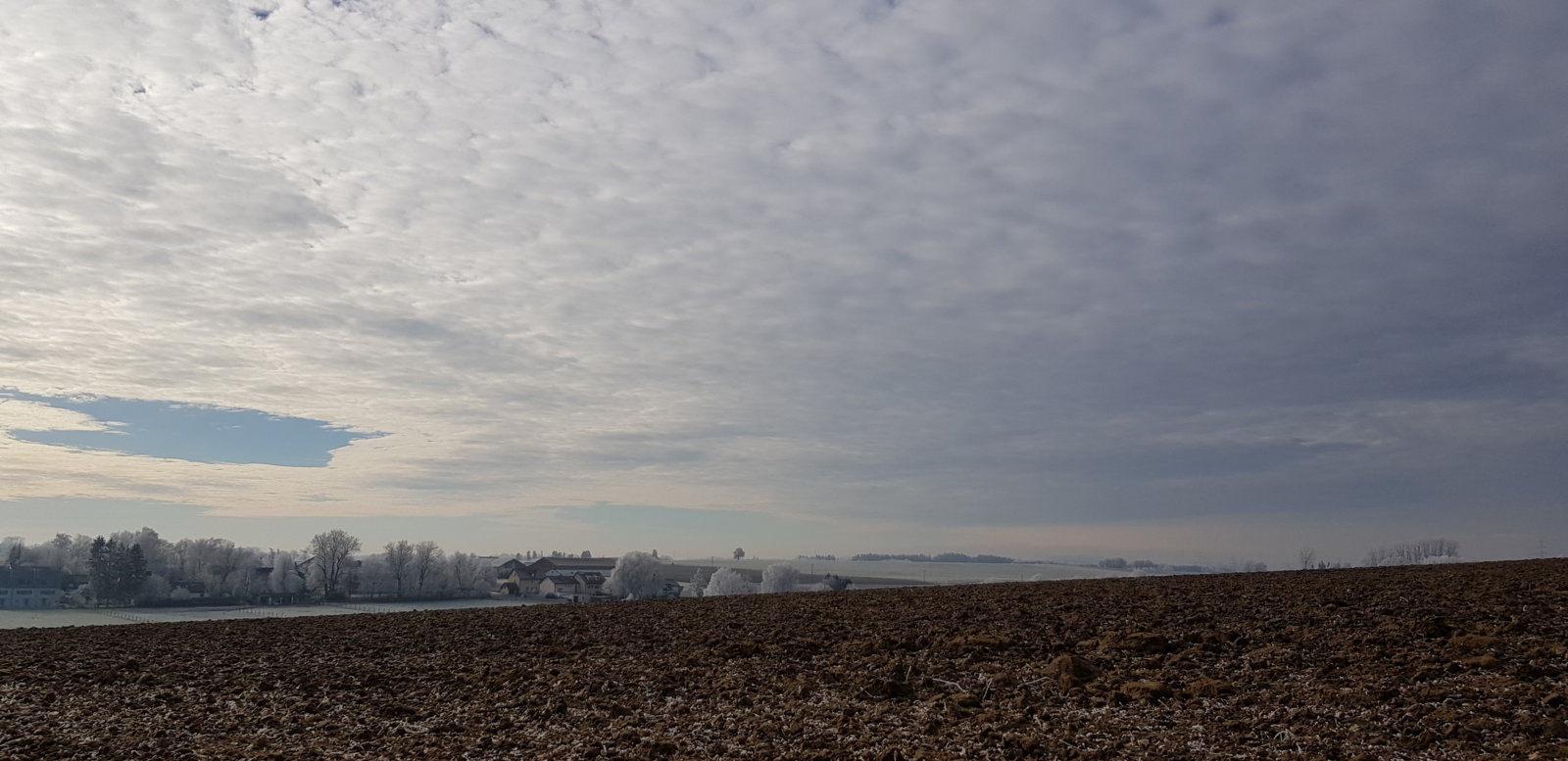 20181227_114424.jpg