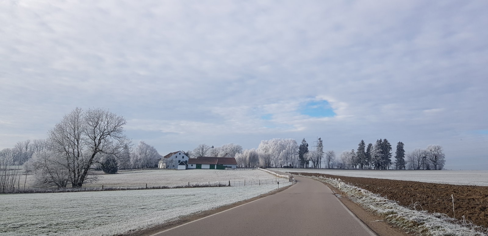 20181227_114600.jpg