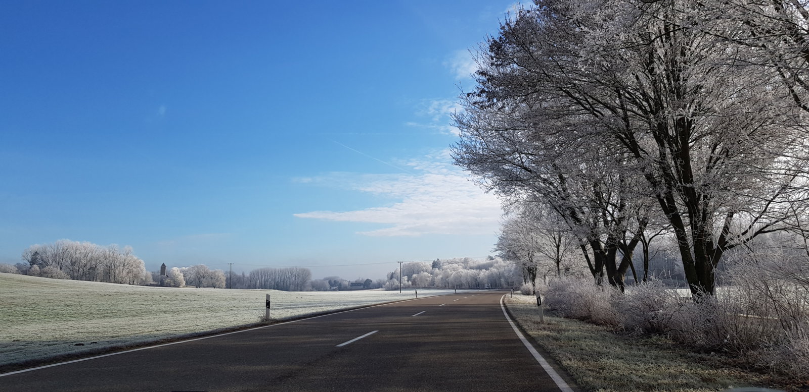 20181227_115545.jpg