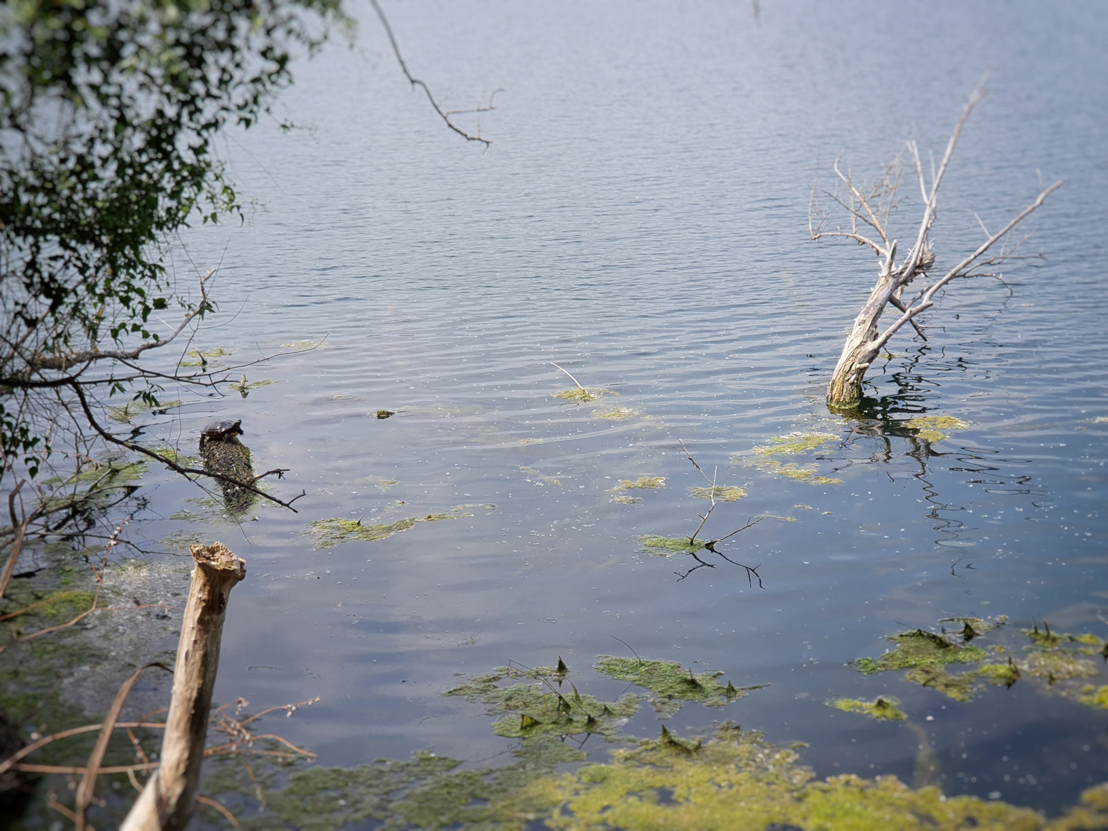 2019-05-26_11-45-27.jpg