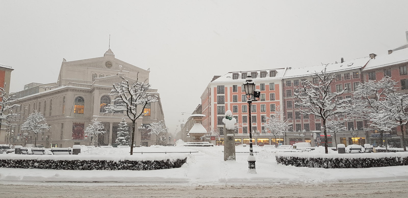 20190110_082855.jpg